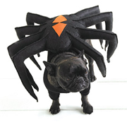 DOG COSTUME