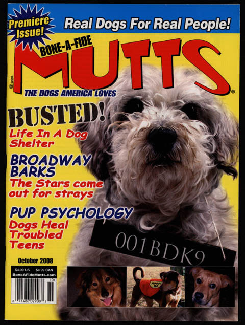 Best Dog Magazines List & Description