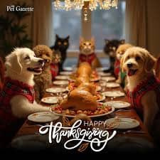 Best Dog Magazines List & Description