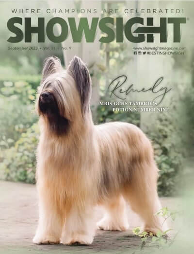 Best Dog Magazines List & Description