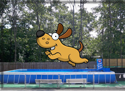 Dog Pools, Underwater Dogs and Puppies