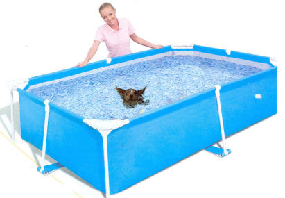 Dog Pools, Underwater Dogs and Puppies