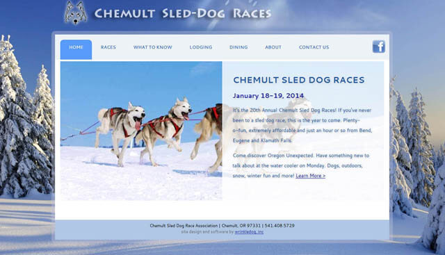 Dog Race, Fastest Dog Breeds, Speed of Dogs