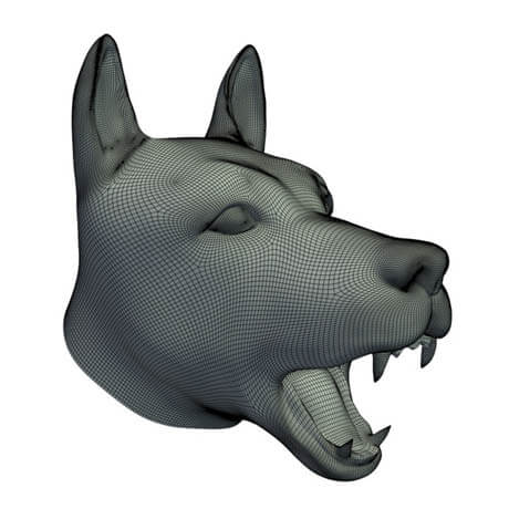 Dog Head Model 3D