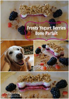 Dog Meal Recipes by WWW.CESARSWAY.COM