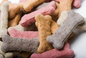Dog Meal Recipes by WWW.GPALOUISVILLE.COM