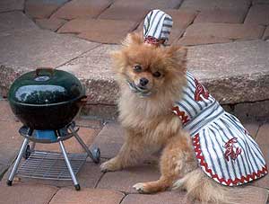 Dog Food BBQ Recipes by WWW.PETFINDER.COM