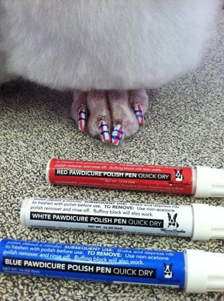 Dog Nail Trimmer, Clipper, Polish