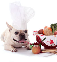 Dog Food Recipes by WWW.FOOD.COM