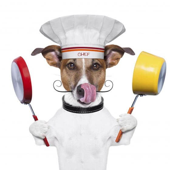 Dog Meal Recipes by WWW.ALLWOMENSTALK.COM