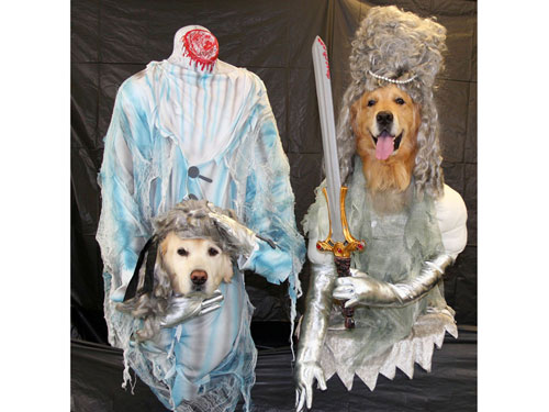 DOG APPAREL DRESS CLOTHES