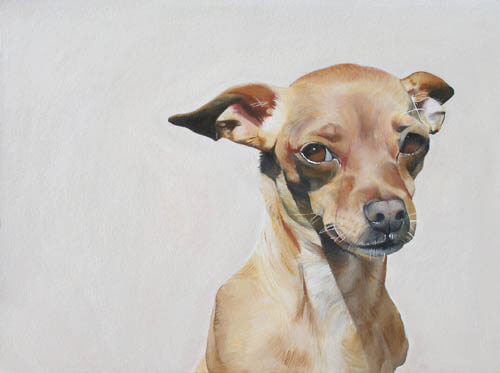 Dog & Puppy drawing by B, art, portraits, renaissance