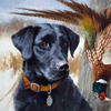 Dog & Puppy drawing, art, portraits, renaissance