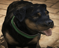 PLAY FREE ONLINE DOG and PUPPY GAMES