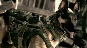 PLAY FREE ONLINE DOG and PUPPY GAMES