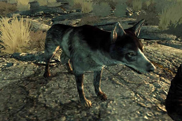 PLAY FREE ONLINE DOG and PUPPY GAMES
