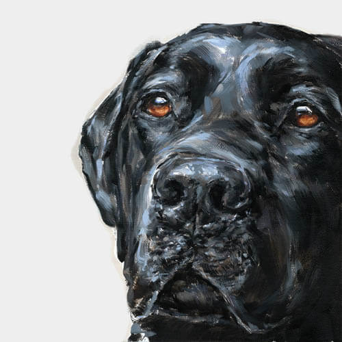 DOG ART, DRAWINGS, PAINT