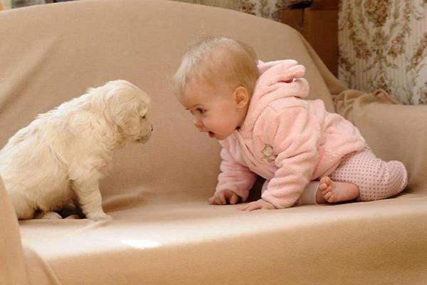 12 REASONS TO HAVE A DOG INSTEAD OF KID | 12 REASONS TO HAVE A KID INSTEAD OF DOG