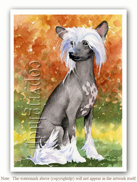 DOG ART, DRAWINGS, PAINT by David J. Rojers