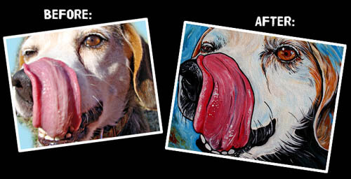 DOG ART, DRAWINGS, PAINT by STEPH FITZSIMMONS