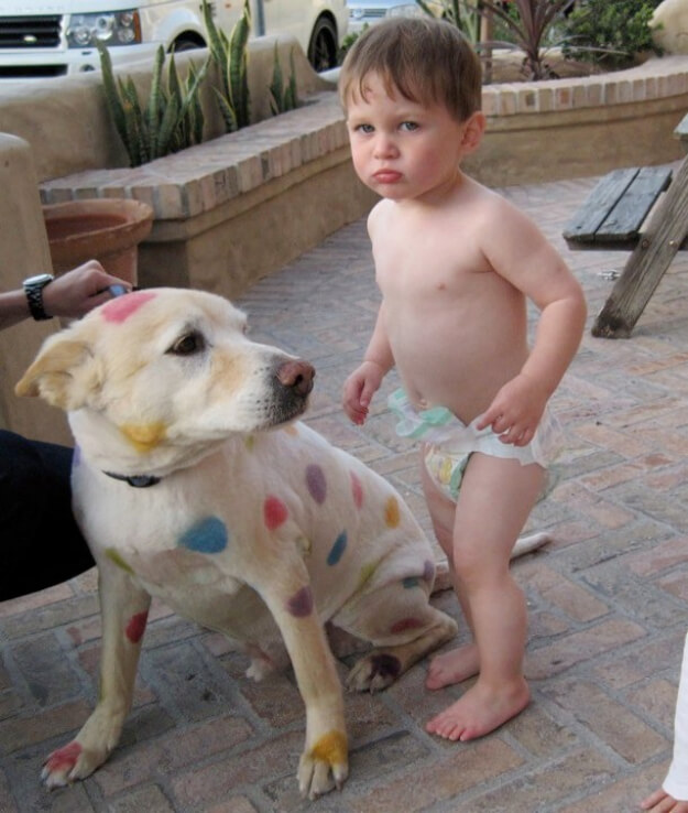 Funny Dogs and kids, puppies and children