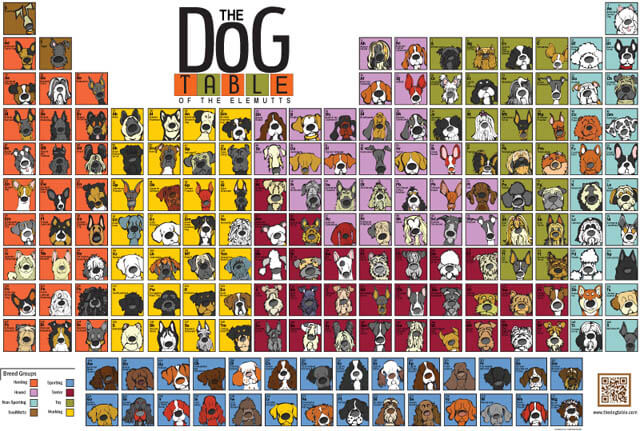 DOG BREEDS TABLE and CHART