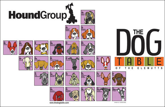 HOUND DOGS GROUP