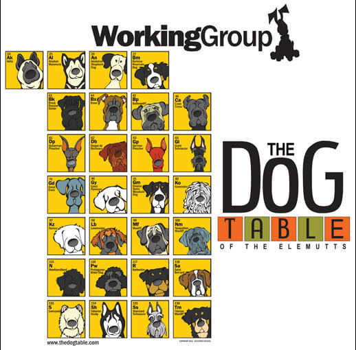 WORKING DOGS