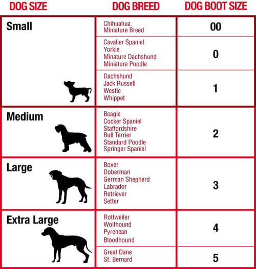 DOG SIZE, PUPPY SIZE, DOG BREEDS SIZE CHART, DOG SIZE MEASURE CALCULATOR