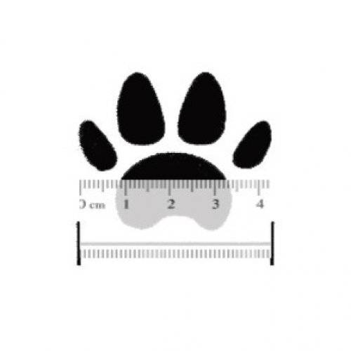 DOG BOOTS SIZE, PUPPY BOOTS SIZE, DOG BOOTS SIZE CHART, DOG BOOTS SIZE MEASURE