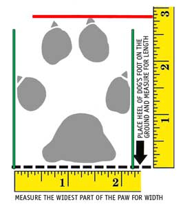 PUPPY BOOTS SIZE, DOG BOOTS SIZE CHART, DOG BOOTS SIZE MEASURE