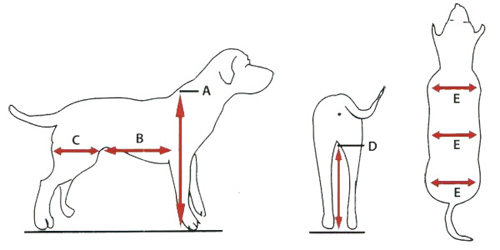 DOG SIZE, PUPPY SIZE, DOG BREEDS SIZE CHART, DOG SIZE MEASURE CALCULATOR