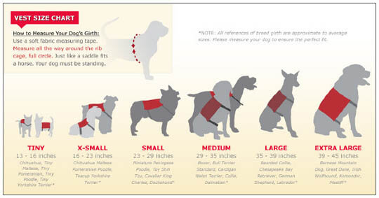 DOG SIZE, PUPPY SIZE, DOG BREEDS SIZE CHART, DOG SIZE MEASURE CALCULATOR