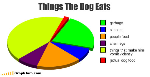 DOG PUPPY DANGEROUS POISONOUS FOOD