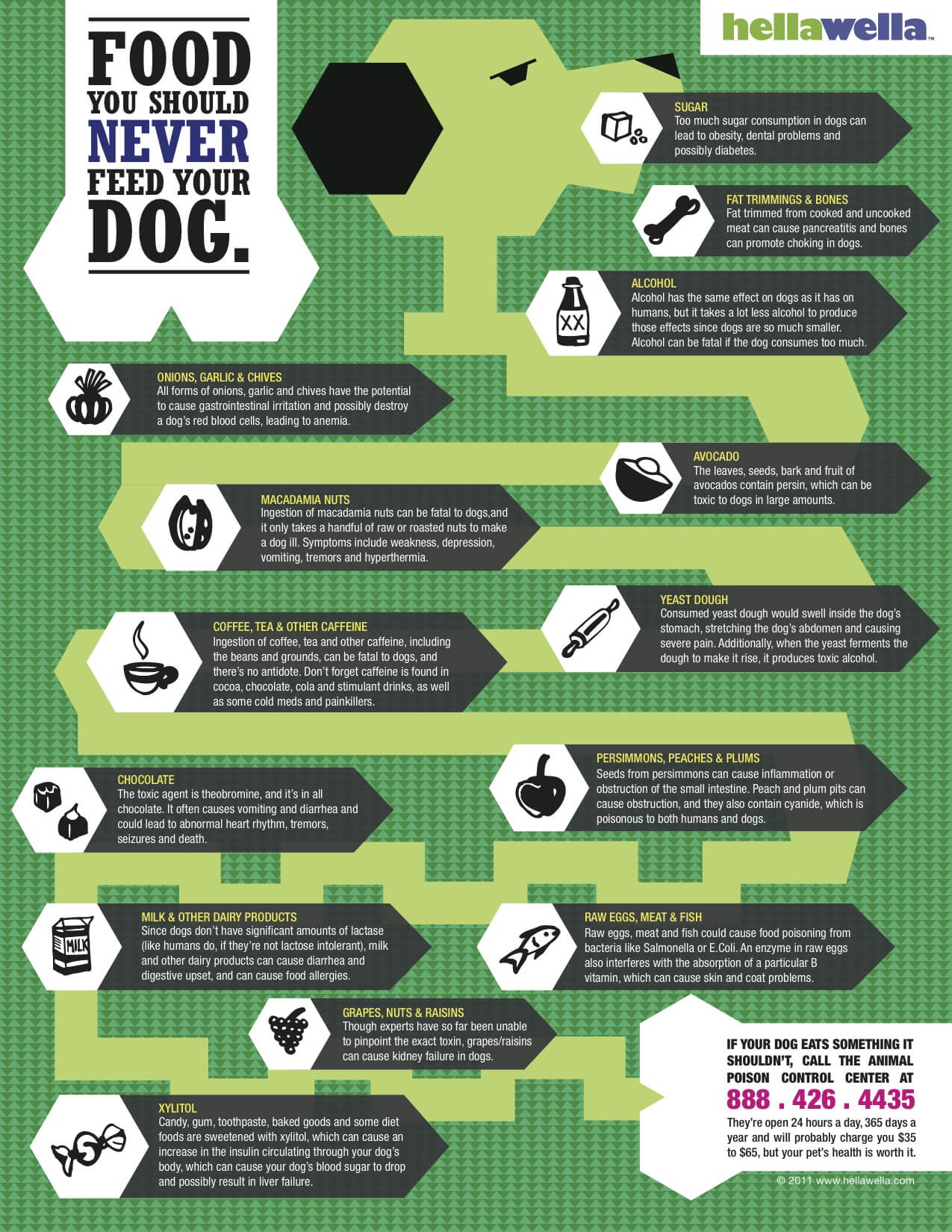 11 SYMPTOMS OF POISONED DOG 53 Toxins Plants Poisons For Dogs How 