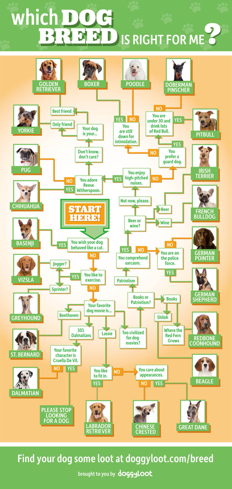 Dog Meaning Chart