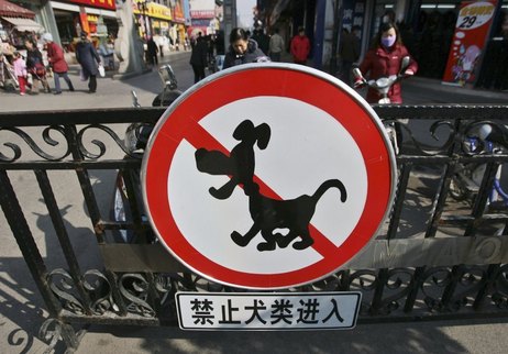 Dogs and Laws, Governmetnal Dog Organizations