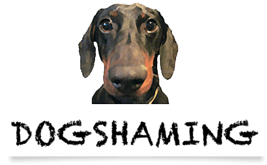 Dog habits