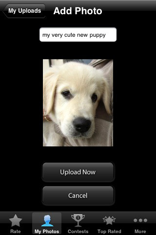 Download and Install Dog and Puppy Cellular & Mobile Applications for Android, Iphone, LG, Samsung, Nokia