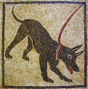 ANCIENT DOG PHOTOS