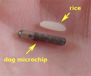 Dog Microchipping, Scanners, Implants, ID