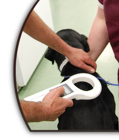 Dog Microchip, Scanners, Implants, ID