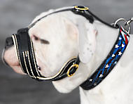 Dog Muzzle Types, Sizes, Uses, Prices - Buy Online Dog Muzzle