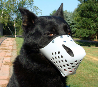 Dog Muzzle Types, Sizes, Uses, Prices - Buy Online Dog Muzzle