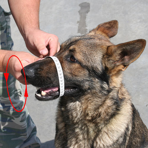 Dog Muzzle Types, Sizes, Uses, Prices - Buy Online Dog Muzzle