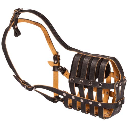 Dog Muzzle Types, Sizes, Uses, Prices - Buy Online Dog Muzzle