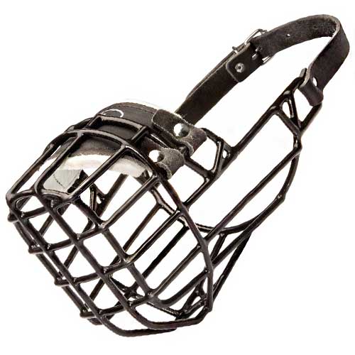 Dog Muzzle Types, Sizes, Uses, Prices - Buy Online Dog Muzzle