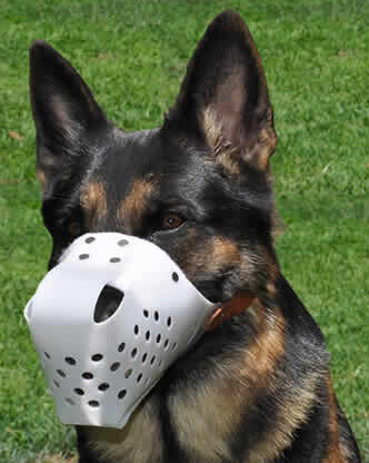 Dog Muzzle Types, Sizes, Uses, Prices - Buy Online Dog Muzzle