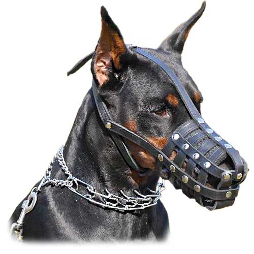 Dog Muzzle Types, Sizes, Uses, Prices - Buy Online Dog Muzzle