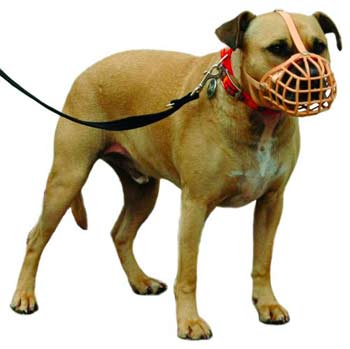 Dog Muzzle Types, Sizes, Uses, Prices - Buy Online Dog Muzzle